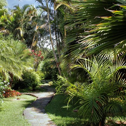 Discover Cuba
Garden Design
Calimesa, CA