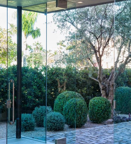 Entry Court, Olive Tree
Scott Shrader
West Hollywood, CA