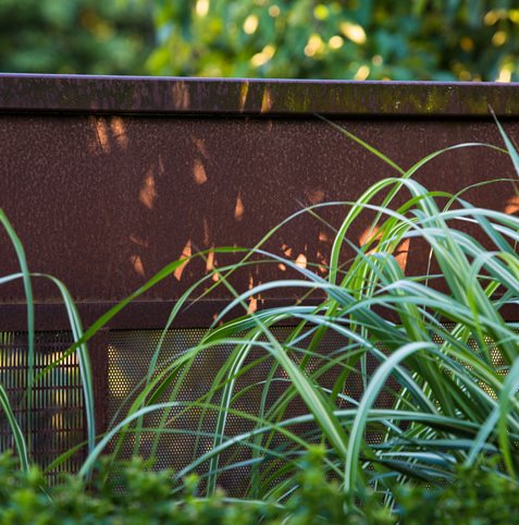 Variegated Miscanthus, Steel Fence
Lillyvilla Gardens
Portland, OR