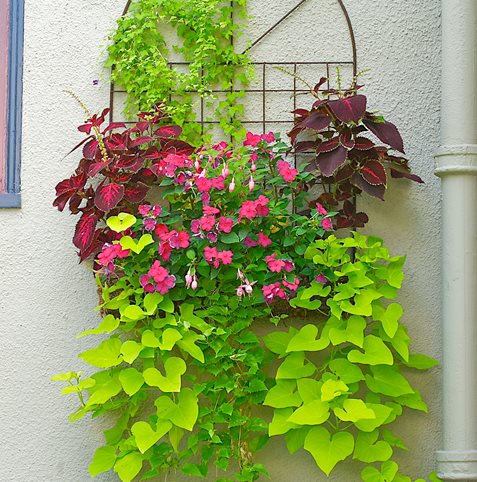 container gardens made for the shade garden design container gardens made for the shade garden design