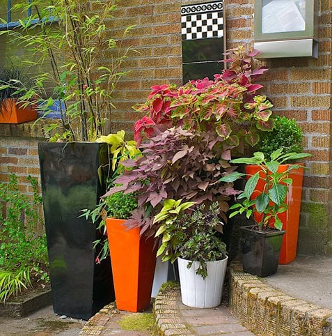 Container Gardens Made for the Shade | Garden Design