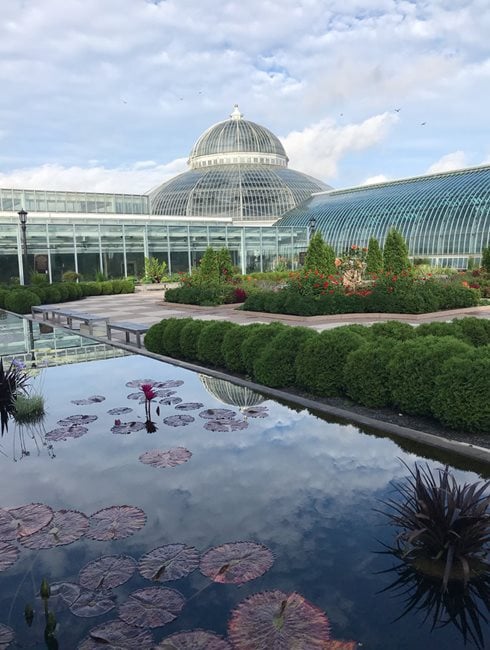 Conservatory, Como Park Zoo
Como Park Zoo & Conservancy
, 