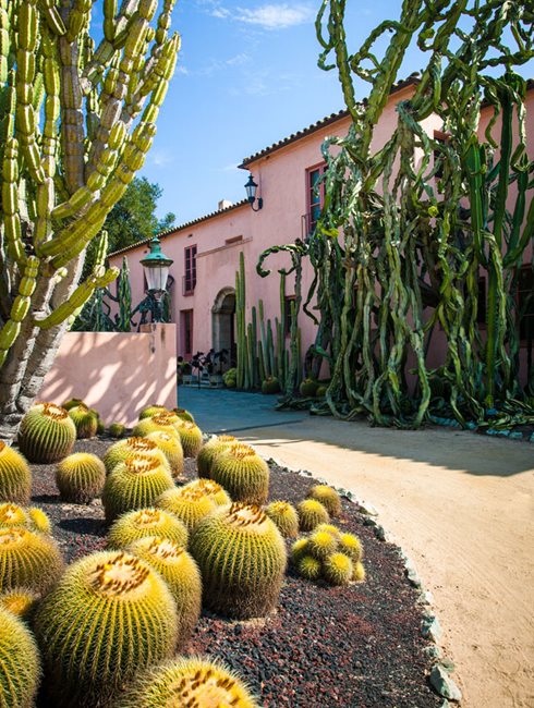 Lotusland, Gana Walska, Golden Barrel Cactus, Weeping Euphorbia
Garden Design
Calimesa, CA