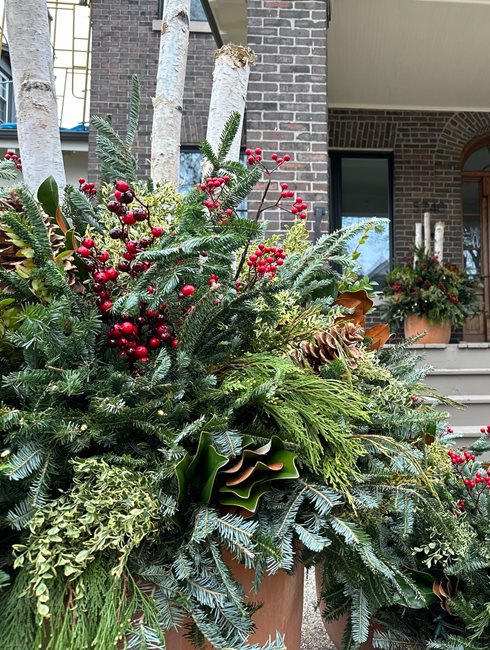 Winter Container Plantings, Holidays At Home