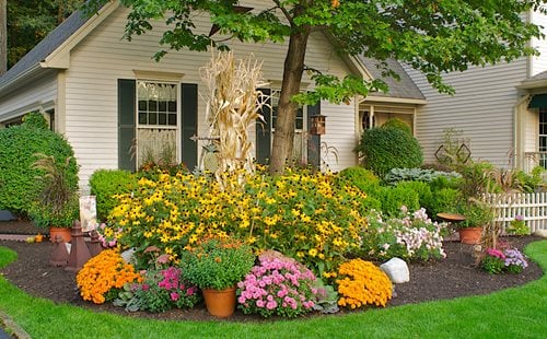 Fall Gardening Ideas | Garden Design