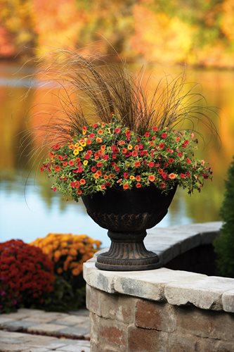 21 Fall Planter Ideas - Container Garden Pictures, Plants & Tips