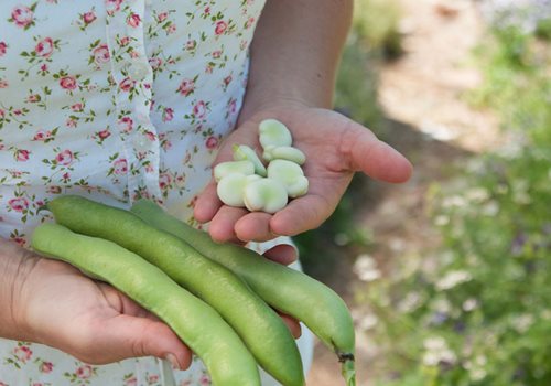 Pacific Northwest Seasonal Produce Chart