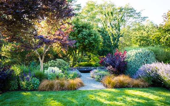 Place Of Refuge
"Dream Team's" Portland Garden
Garden Design
Calimesa, CA