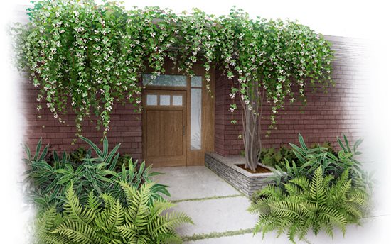 Plant Hunter
"Dream Team's" Portland Garden
Garden Design
Calimesa, CA