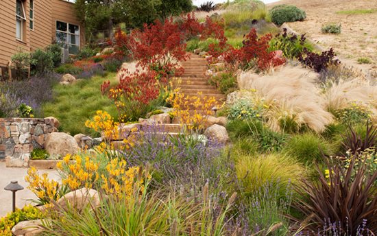 Landscape Solution
"Dream Team's" Portland Garden
Garden Design
Calimesa, CA