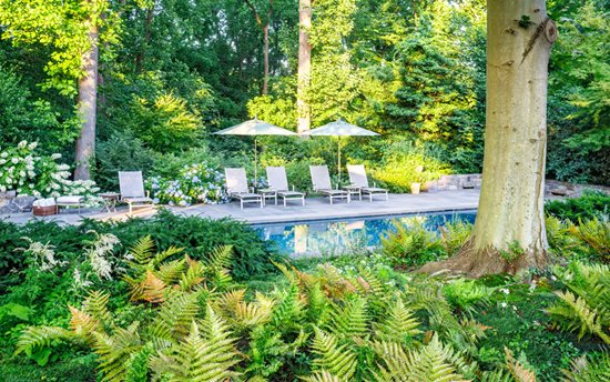 Vacation At Home
"Dream Team's" Portland Garden
Garden Design
Calimesa, CA