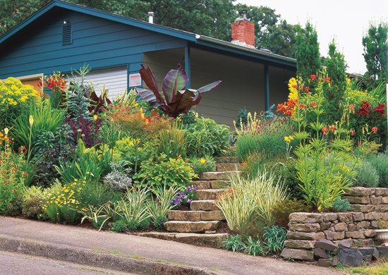 Sloped Front Yard, Hot Colors
Minor Miracles: Jewel Box
Mosaic Gardens
Eugene, OR