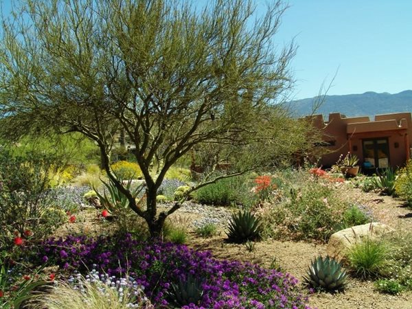 2011 APLD Annual International Landscape Design Awards
Boxhill
Tucson, AZ