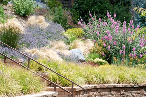 2011 APLD Annual International Landscape Design Awards
Lesley Turner/LTLA Design
Berkeley, CA