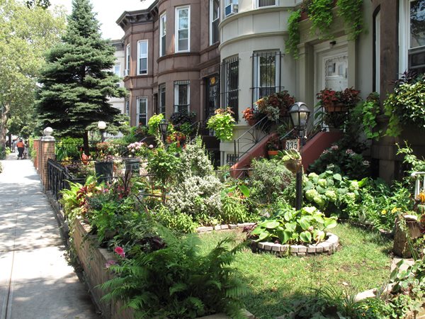 2011 Greenest Block in Brooklyn
Brooklyn Botanic Garden
Brooklyn, NY