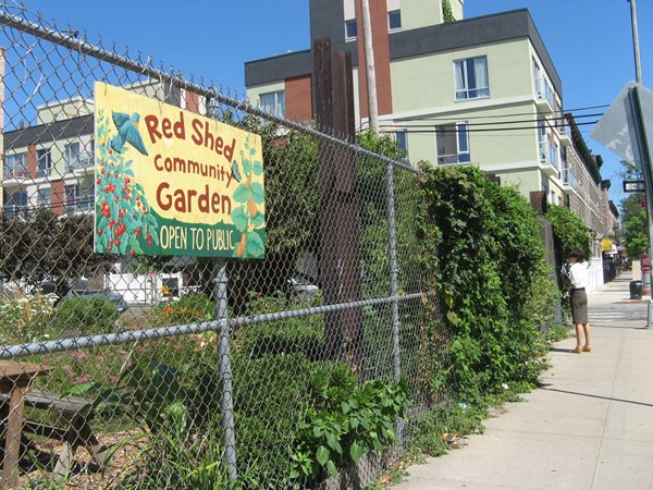 2011 Greenest Block in Brooklyn
Garden Design
Calimesa, CA