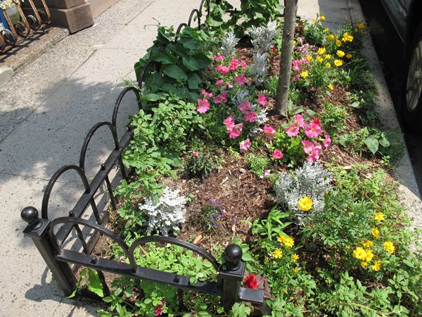 2011 Greenest Block in Brooklyn
Garden Design
Calimesa, CA