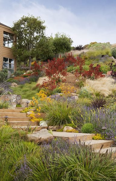 2013 APLD International Landscape Design Awards
Garden Design
Calimesa, CA