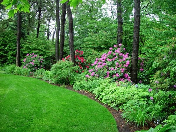 Garden Design Corner a cool, quiet corner of the world - gallery | garden design Garden Design Corner a cool, quiet corner of the world - gallery | garden design