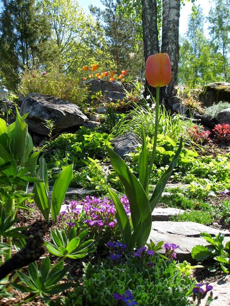 A Flowerbed Garden
Garden Design
Calimesa, CA
