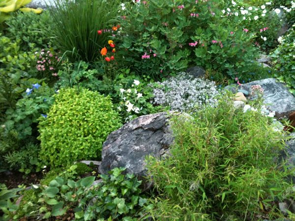 A Flowerbed Garden
Garden Design
Calimesa, CA
