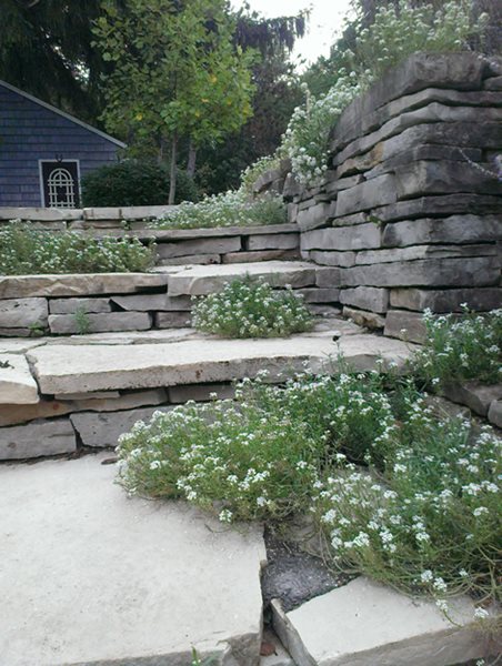 A Garden for Misfit Plants
Garden Design
Calimesa, CA
