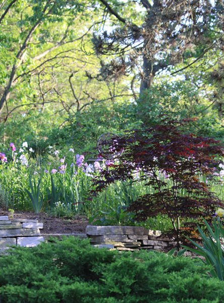 A Garden for Misfit Plants
Garden Design
Calimesa, CA