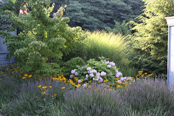 A Garden for Misfit Plants
Garden Design
Calimesa, CA