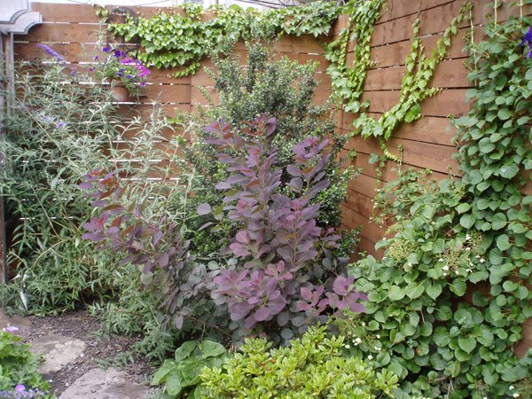 A Garden Grows in Brooklyn
Garden Design
Calimesa, CA