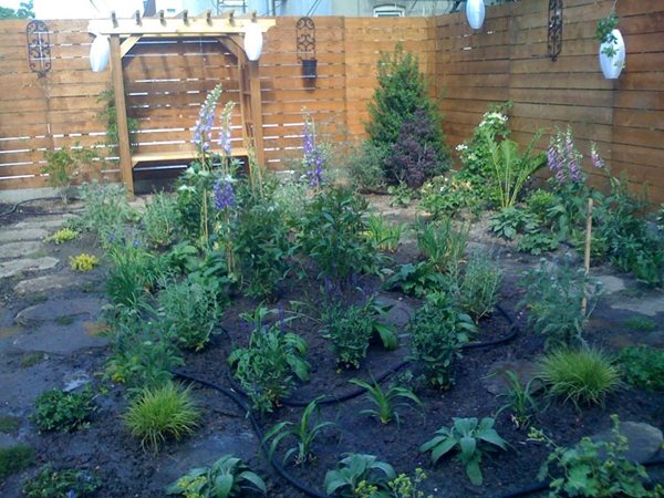 A Garden Grows in Brooklyn
Garden Design
Calimesa, CA