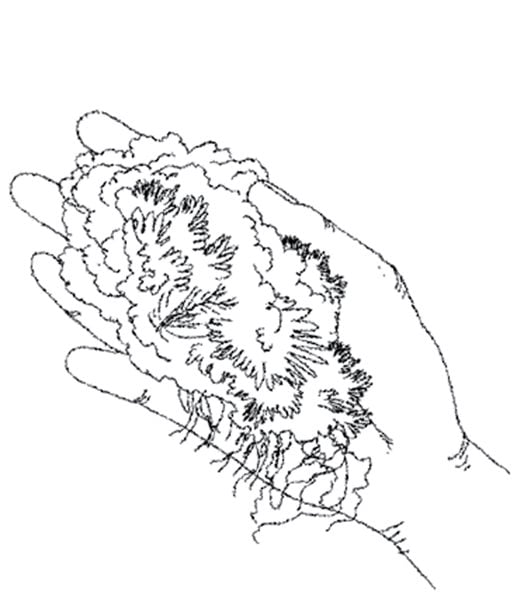 moss coloring page