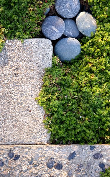 A Pasadena Garden by Heather Lenkin
Garden Design
Calimesa, CA