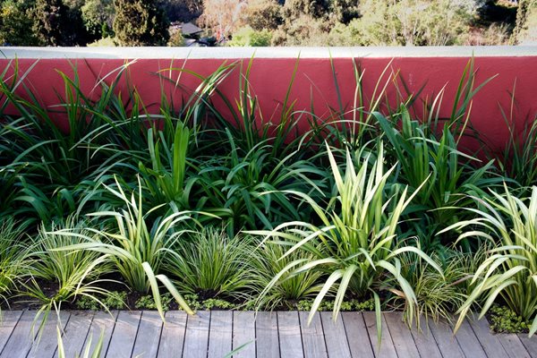 A Pasadena Garden by Heather Lenkin
Garden Design
Calimesa, CA