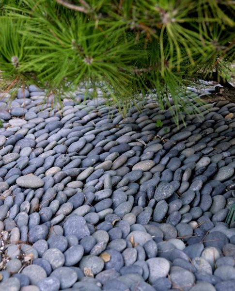 A Pasadena Garden by Heather Lenkin
Garden Design
Calimesa, CA