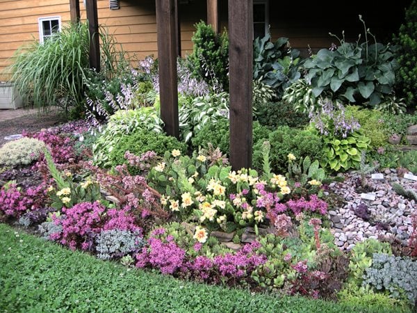 A Rustic Perennial Paradise
Plant Paradise Country Gardens
Caledon, ON