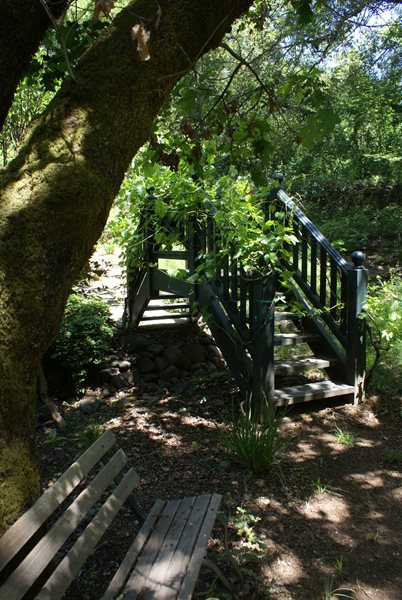 A Visit to Sandra Jordan's Farmhouse and Gardens
Garden Design
Calimesa, CA