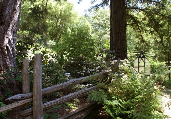 A Visit to Sandra Jordan's Farmhouse and Gardens
Garden Design
Calimesa, CA