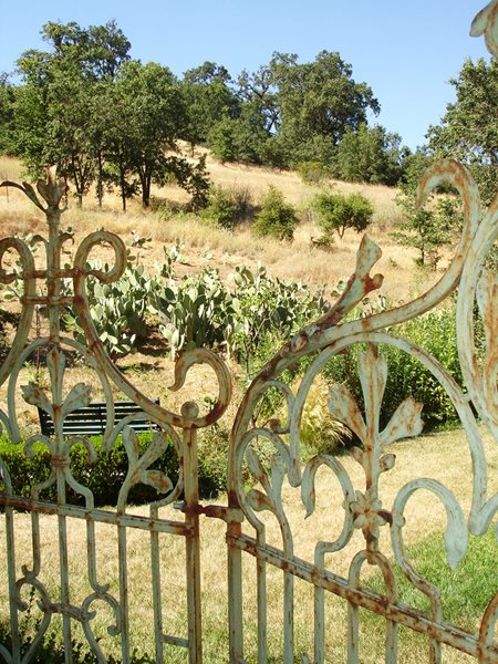 A Visit to Sandra Jordan's Farmhouse and Gardens
Garden Design
Calimesa, CA