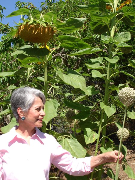 A Visit to Sandra Jordan's Farmhouse and Gardens
Garden Design
Calimesa, CA