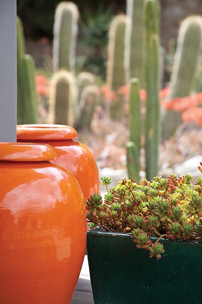 A Waterwise Cactus Garden, Photo Gallery
Garden Design
Calimesa, CA