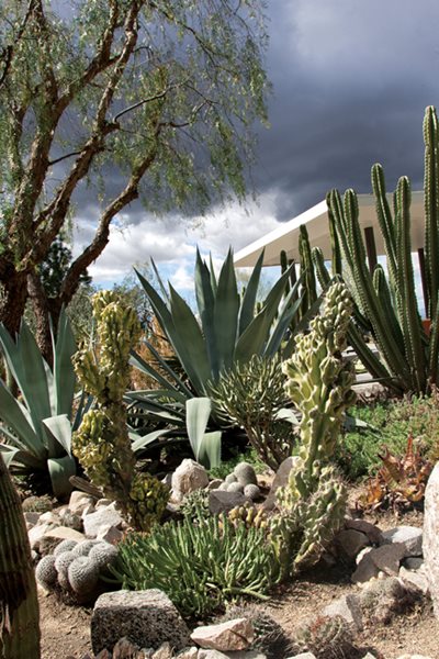 A Waterwise Cactus Garden, Photo Gallery  Gallery  Garden Design