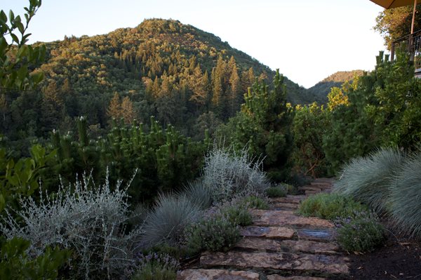 An Organic Kitchen Garden
Garden Design
Calimesa, CA
