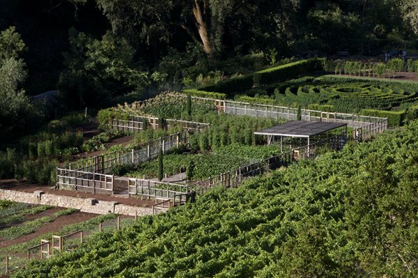 An Organic Kitchen Garden
Garden Design
Calimesa, CA