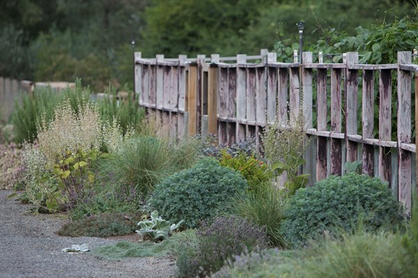 An Organic Kitchen Garden
Garden Design
Calimesa, CA
