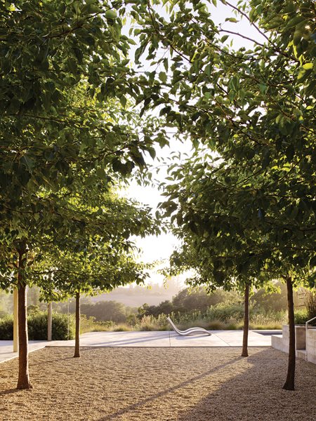 Andrea Cochran's Landscapes - Gallery | Garden Design Andrea Cochran's Landscapes - Gallery | Garden Design