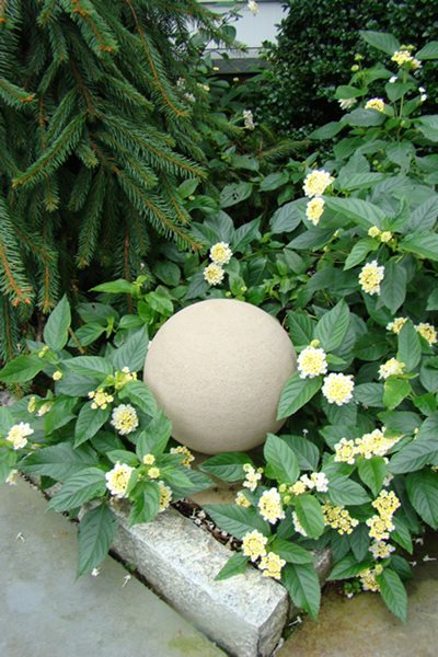 Annual Flowers to Consider for Your Garden This Year
Garden Design
Calimesa, CA