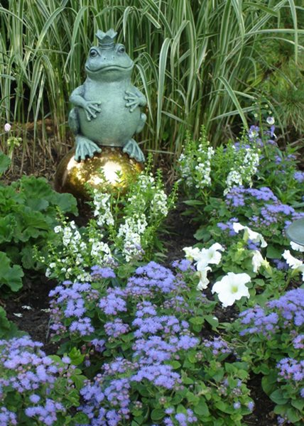 Annual Flowers to Consider for Your Garden This Year - Gallery | Garden