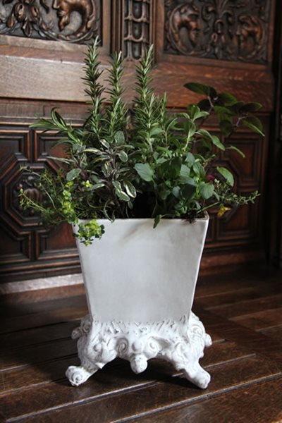 Artisan Vessels for the Indoor Gardener
Garden Design
Calimesa, CA
