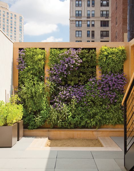 ASLA's 2011 Best Residential Landscapes
Garden Design
Calimesa, CA