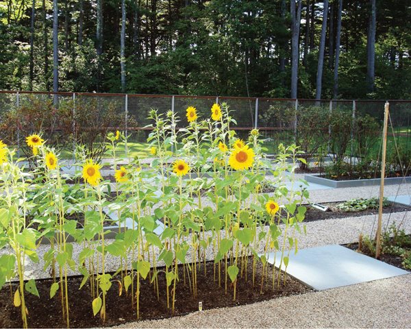 ASLA's 2012 Best Residential Landscapes
Garden Design
Calimesa, CA